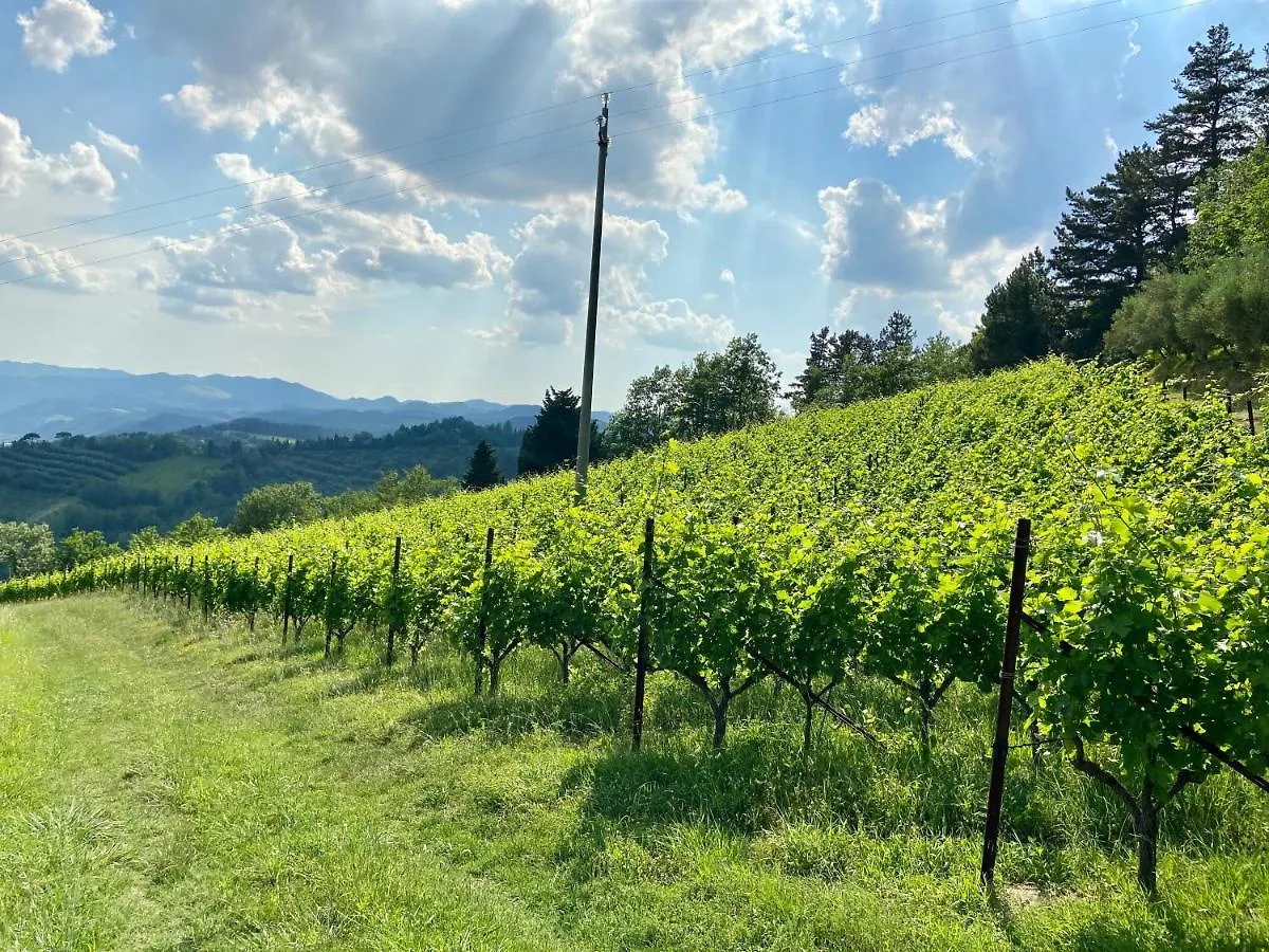Villa Liverzano Brisighella 0*,  Italy